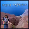 David Patricio - David Patricio